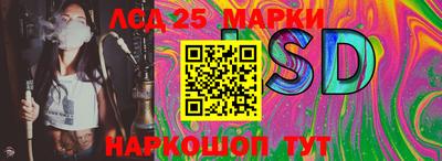 шишки Балашиха