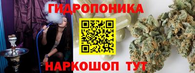 шишки Балашиха