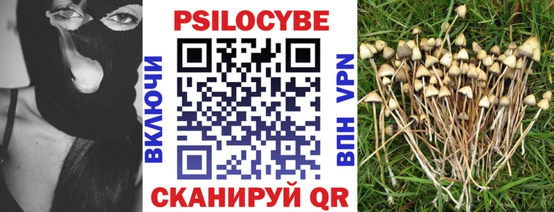 Галлюциногенные грибы MAGIC MUSHROOMS  купить наркотики сайты  Магадан 