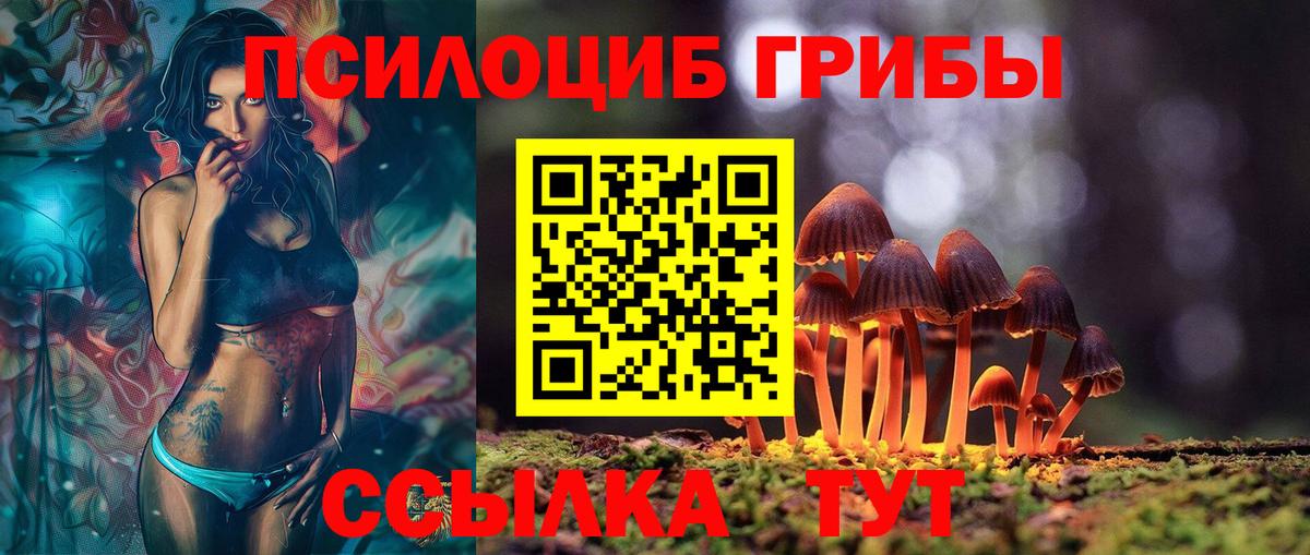 Галлюциногенные грибы GOLDEN TEACHER  Магадан 