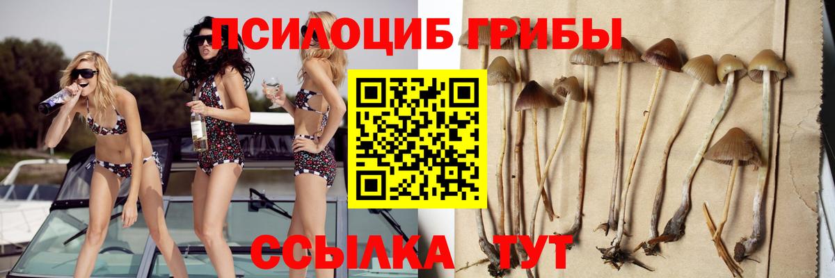 Псилоцибиновые грибы Magic Shrooms Магадан