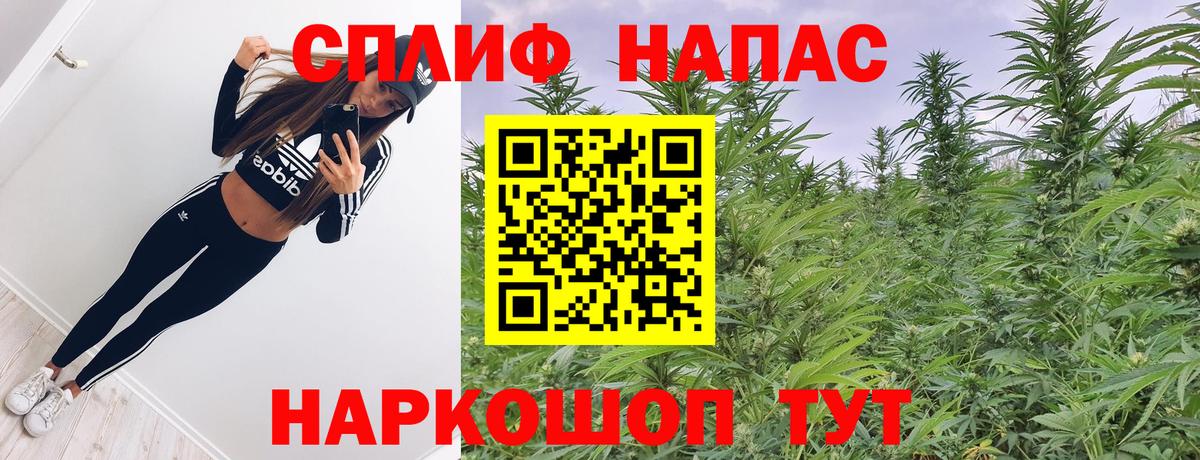 Бошки марихуана THC 21% Магадан